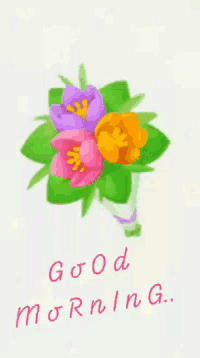 a bouquet of colorful flowers with the words good morning written below it
