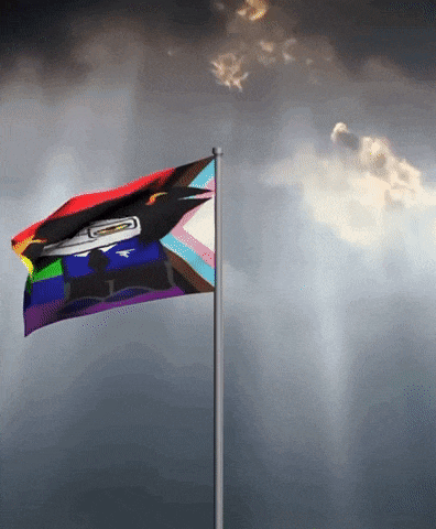 a rainbow flag is waving in the wind with a cloudy sky in the background