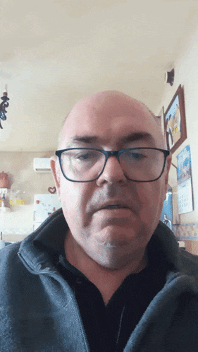 a bald man wearing glasses and a gray jacket looks at the camera