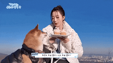 a woman holding a plate of cupcakes next to a dog with a collar that says sharika