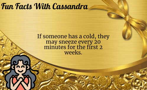 Cassandra Fun Meme - Cassandra Fun Facts - Discover & Share GIFs