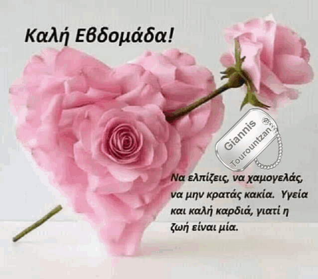 a heart shaped pink rose with a tag that says giannis on it .