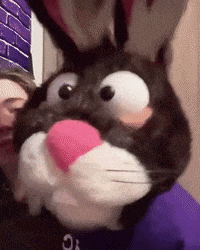 a person wearing a bunny costume with a purple shirt that says o on it