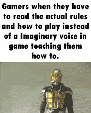 a poster that says gamers when they have to read the actual rules and how to play instead of an imaginary voice in game