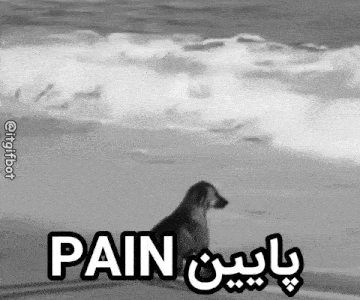 a black and white photo of a dog with the word pain written on it