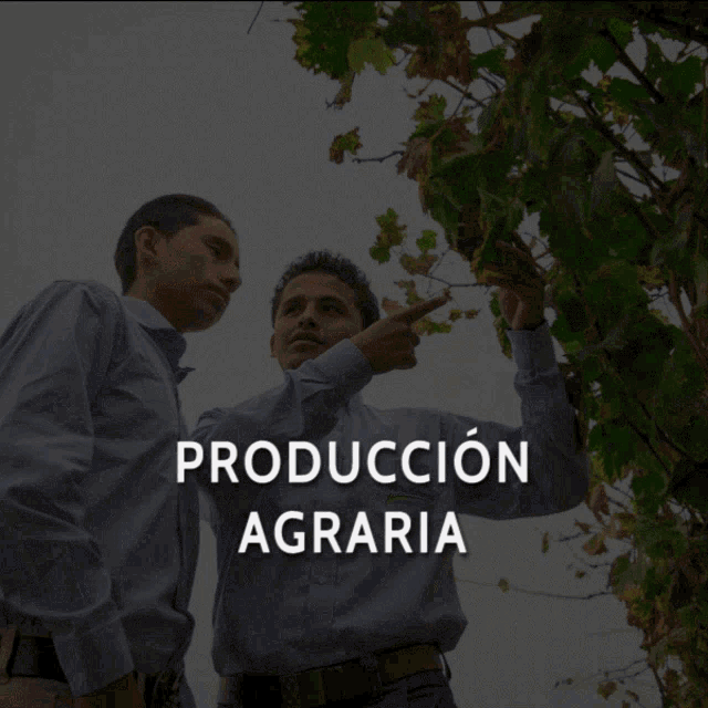 Agraria Producción Agraria GIF - Agraria Producción Agraria Valle Grande Producción Agraria GIFs