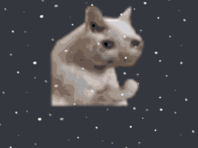 a picture of a cat with snowflakes falling around it