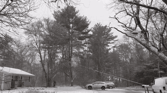 a black and white photo of a snowy forest