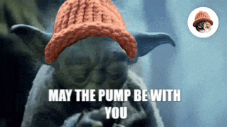 a picture of yoda wearing a knitted hat with the words may the pump be with you