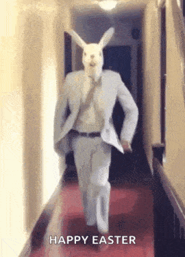 a man in a suit and tie is walking down a hallway with a rabbit mask on his head .