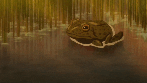 a frog is swimming in a swamp with tall grass