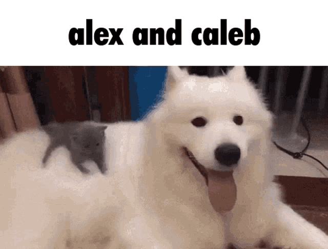 Caleb Alex GIF - Caleb Alex Love GIFs