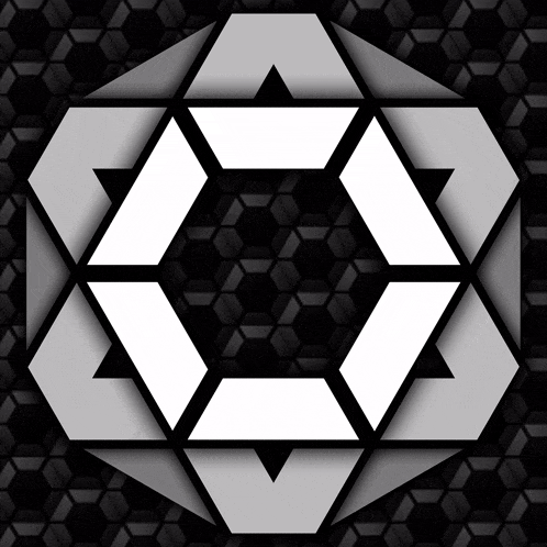a black and white logo with a hexagonal shape