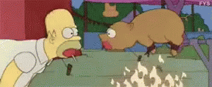 The Simpsons Homer GIF - The Simpsons Homer Pig GIFs