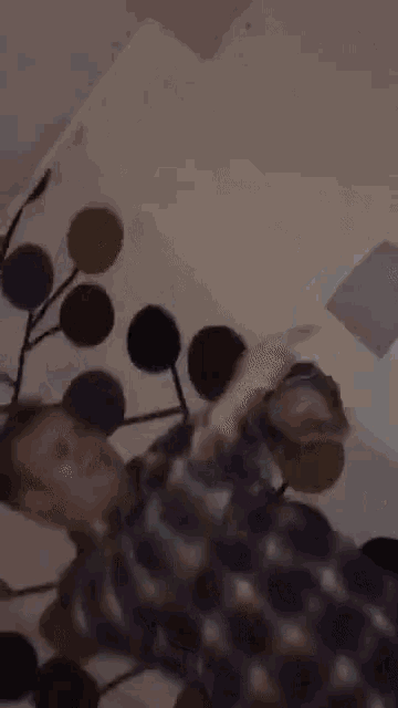 Mikke Dance Party GIF - Mikke Dance Party Success GIFs