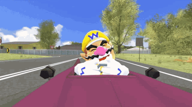 a cartoon character wearing a yellow hat with a w on it