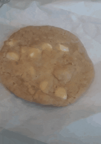 Subway White Chip Macadamia Nut Cookie GIF
