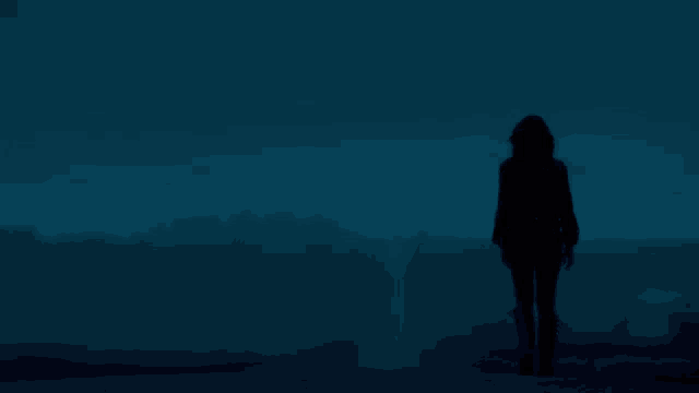 a silhouette of a person standing in a field at night