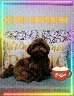 a dog is laying on a couch with a cup of coffee