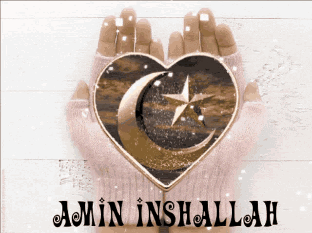 Amin Inshallah GIF - Amin Inshallah GIFs