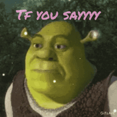 shrek says tf you sayyy in pink letters