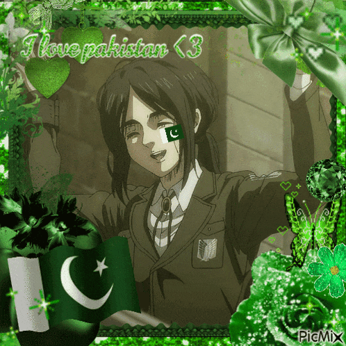 a picture of a girl with a flag on her face and the words i love pakistan