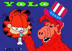 Yolo Garfield GIF - Yolo Garfield Beheaded GIFs