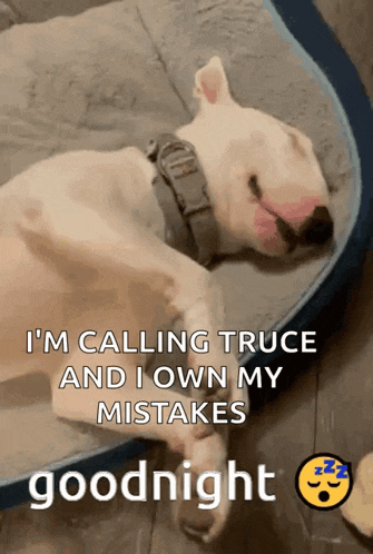 a dog is sleeping in a dog bed with a goodnight message .