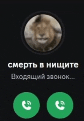 a phone screen with a picture of a lion and the words " смерть в нищите "