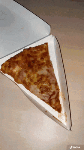 a slice of pizza in a box with tiktok written on the bottom