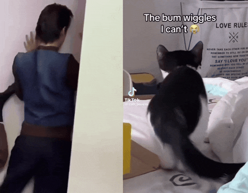a man and a cat are standing next to each other with the caption the bum wiggle i can 't