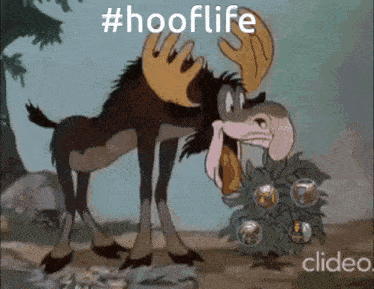 a cartoon moose standing next to a christmas tree with the hashtag #hoolife