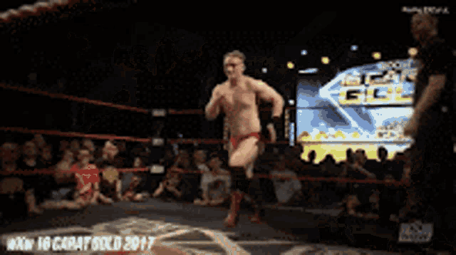 a man in a wrestling ring with the words now 18 carat gold 2017 in the corner