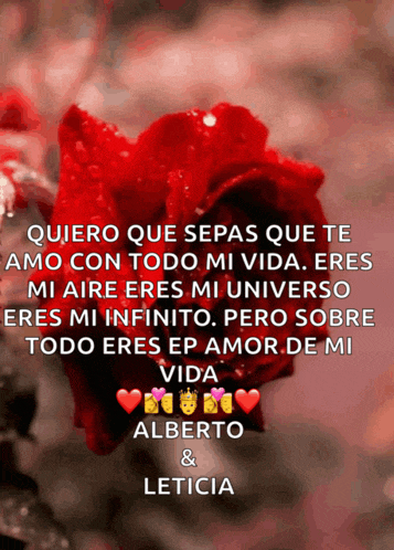 a red rose with the words quiero que sepas que te amo on it