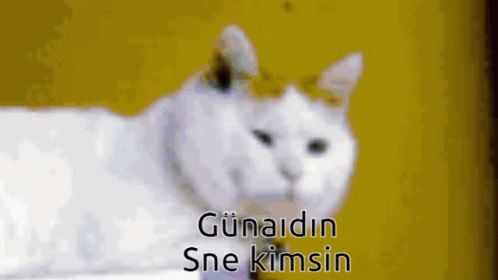 Gunaydin GIF - Gunaydin GIFs