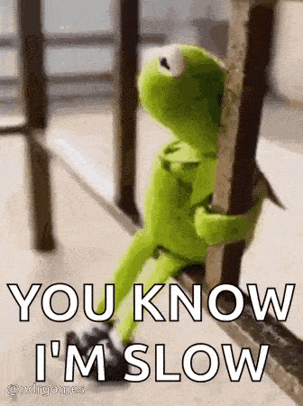 kermit the frog is leaning against a railing and saying `` you know i 'm slow ''