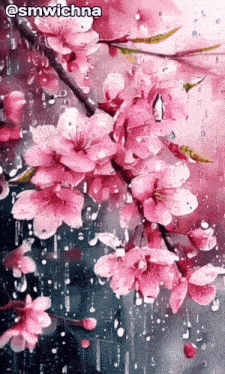 a painting of pink flowers in the rain with the name smwichna on the bottom