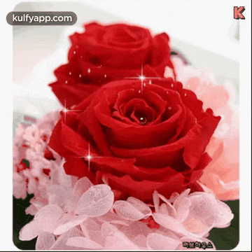 three red roses are surrounded by pink flowers and the letter k is on the bottom right