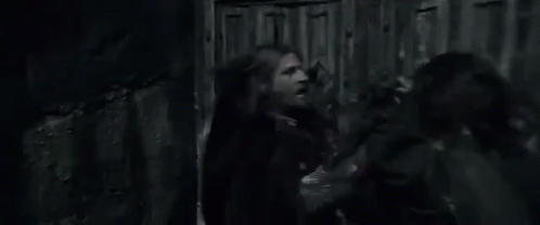 They Have A Cave Troll.  GIF - Sean Bean Lord Of The Rings The Hobbit GIFs
