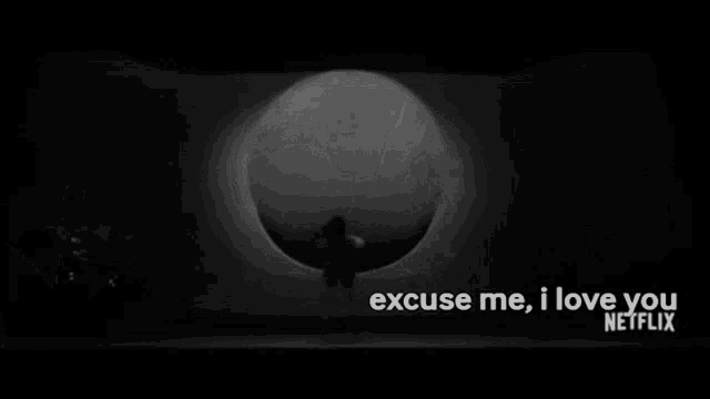 a black and white photo of a concert with the words excuse me i love you netflix
