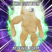 a picture of a doge with muscles and the caption this isn t even my final form