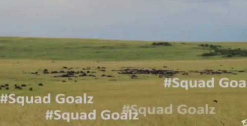 Squadgoalz GIF - Squadgoalz GIFs