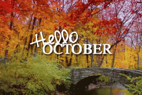 October Fall GIF - October Fall First GIFs
