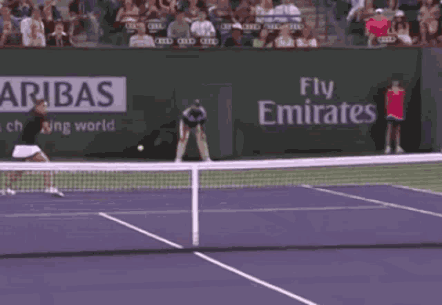 Serena Williams Monica Niculescu GIF - Serena Williams Monica Niculescu Passing Shot GIFs