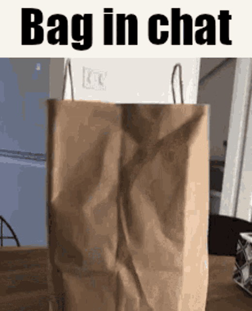 Bag Paper Bag GIF - Bag Paper Bag Bag In Chat GIFs