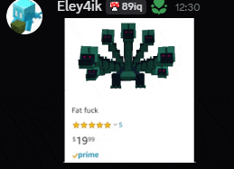 a picture of a minecraft character with the name eley4ik above it