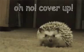 Oh No! Cover Up! GIF - Cover Up Oh No Oh No Cover Up GIFs