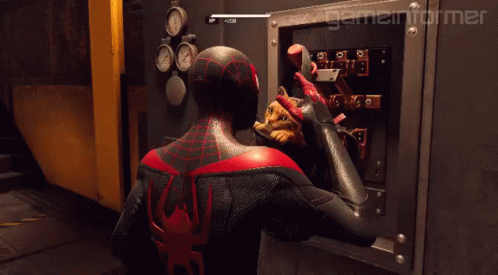 Spider Man Miles Morales GIF - Spider Man Miles Morales Cat GIFs