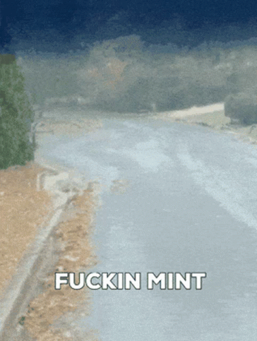 Mint Its Mint GIF - Mint Its Mint Fuckin Mint GIFs