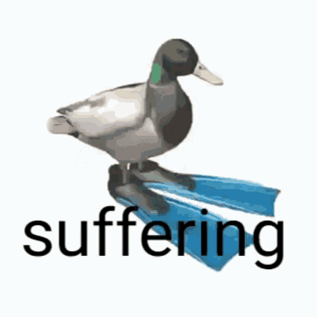 Suffering Spinning GIF - Suffering Spinning Duck GIFs